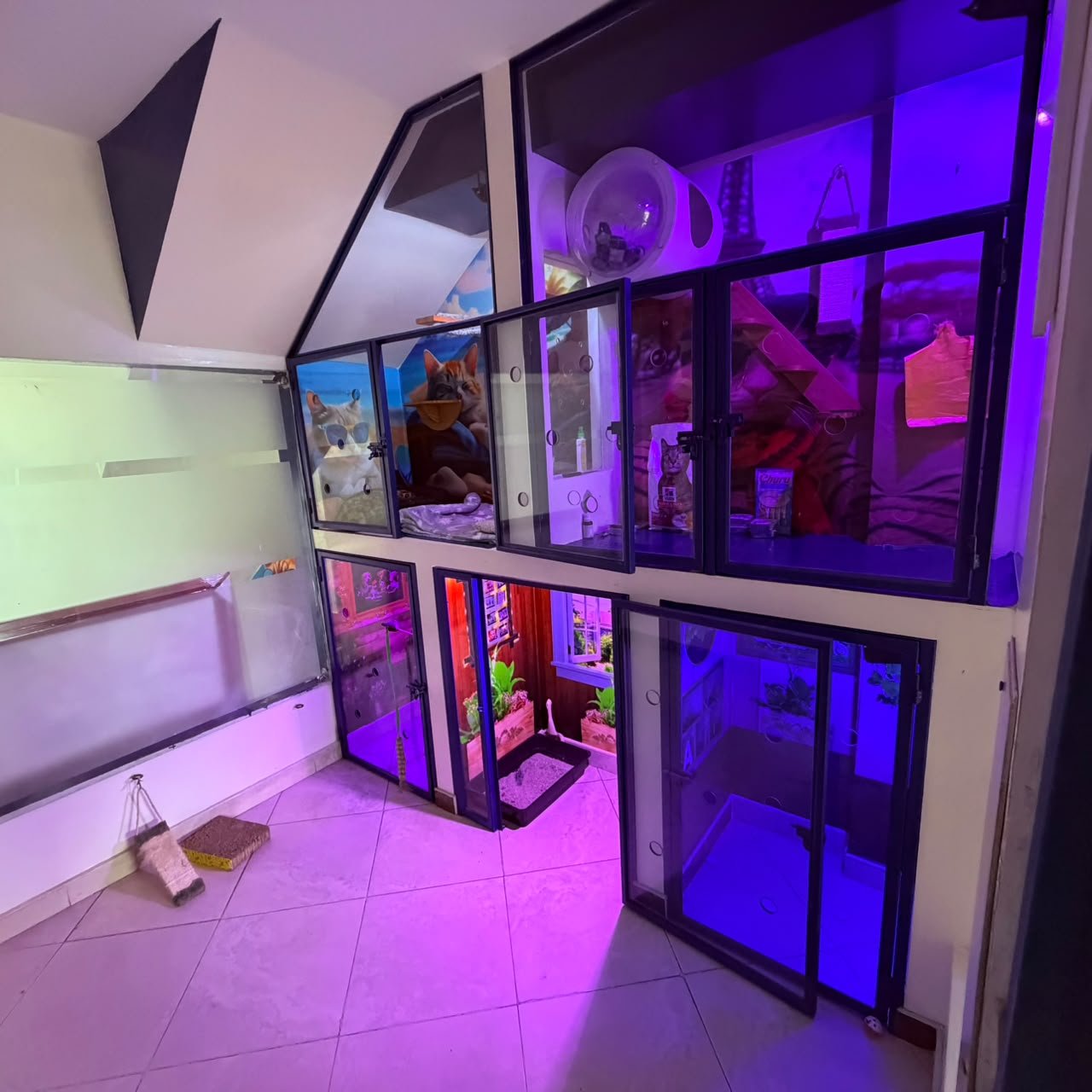 Área de estética y hospedaje felino, Sede Perdomo